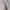 Lolita Minimalist Cardigan Wanita purple white photo 3