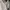 Coquette Casual Cardigan Wanita white photo 5