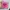 ELLE Lolita Clutch Wanita pink photo 1