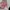 ELLE Lolita Clutch Wanita pink photo 2