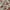 Lolita Coquette Kids red cream photo 5