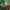 Japanese brand Streetwear Y2K Scarf Pria green photo 2