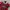 Vintage Sportswear Jersey Pria white red photo 2
