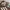 Adidas Casual Sneakers Pria multicolor photo 2
