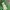 Streetwear Avant Garde Sweater Wanita green photo 5