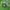 Streetwear Avant Garde Sweater Wanita green photo 4