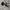 Adidas Casual Sneakers Pria white black photo 1