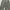Japanese brand Streetwear Y2K Casual pants Pria green gray photo 2