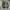 Adidas Casual Sneakers Pria black gray photo 6