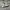 Nike Casual Sneakers Pria white black photo 2