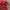 Skechers Casual Sandals & slide Wanita red photo 5