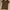 Polo Ralph Lauren Minimalist Polo shirt Pria brown photo 2