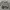 Dickies Vintage Sweatshirt Pria gray photo 4