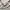 Casual Hoody Pria white gray photo 5