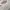 Casual Hoody Pria white gray photo 2