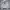 Polham Casual Windbreaker Pria white photo 1