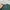Beatrice Clothing Minimalist Midi dress Wanita green photo 2