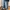 ECKO UNLTD Streetwear Skater Pria multicolor photo 1