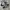 Adidas Casual Sneakers Pria white black photo 1