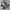 Adidas Casual Sneakers Pria White Black