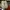 Salomon Casual Sneakers Pria multicolor photo 4