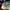 Salomon Casual Sneakers Pria multicolor photo 2