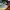 Salomon Casual Sneakers Pria multicolor photo 3