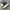 Adidas Casual Sneakers Wanita multicolor photo 1