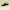 Skechers Streetwear Sportswear Sneakers Pria black photo 1