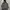 H&M Streetwear Skater Sweater Pria gray photo 1
