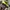 niko and ... Vintage Y2K Scarf Pria green gray photo 4