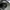 Nike Sportswear Sneakers Pria white navy photo 4