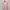 Fur coat Wanita pink photo 2