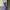 Vintage Midi Dress Wanita Purple