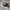 Converse Casual Sneakers Pria white black photo 1