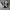 Nike Futurist Casual Sneakers Pria white navy photo 3