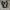 Nike Futurist Casual Sneakers Pria white black photo 3