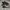 Nike Futurist Casual Sneakers Pria white black photo 2