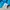 Carhartt Y2K Luxury T-shirt Pria blue photo 6