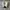 Nike Sportswear Casual Sneakers Pria white black photo 3