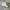 Nike Sportswear Casual Sneakers Pria white black photo 1
