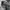 Japanese brand Y2K Short Pria black gray photo 7