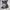 Japanese brand Y2K Short Pria black gray photo 2