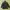 Japanese Brand Vintage Casual Puffer Jacket Pria Brown