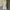 Fairy Coquette Babydoll dress Wanita white photo 1