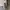 Vintage Luxury Evening dress Wanita gray photo 1