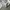 Uniqlo Luxury Casual T-shirt Kids white photo 5