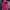 Y2K Hoody Pria pink photo 2