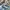 New Balance Gorpcore Casual Sneakers Pria white gray photo 1
