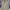 Vintage Casual Cardigan Wanita white tan photo 1